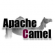 Cursos de Apache Camel en España