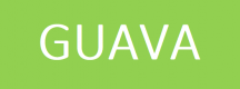 Cursos de Guava en España