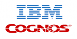 Cursos de IBM Cognos en España