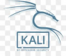 Cursos de Kali Linux en España