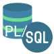 Image for the Oracle PL/SQL