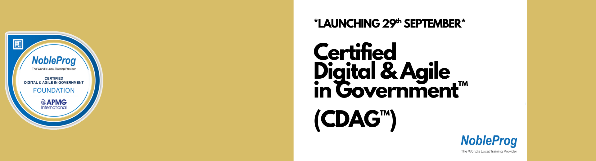 Certified Digital & Agile in Government™ (CDAG™) Foundation
